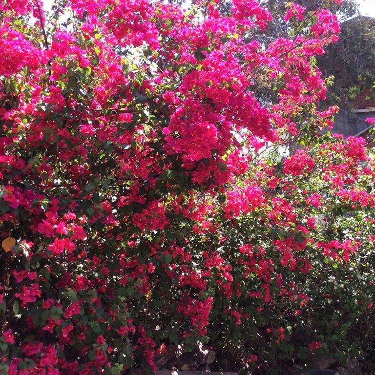 מלון Puerto Ángel Casa Gundi Y Tomas מראה חיצוני תמונה